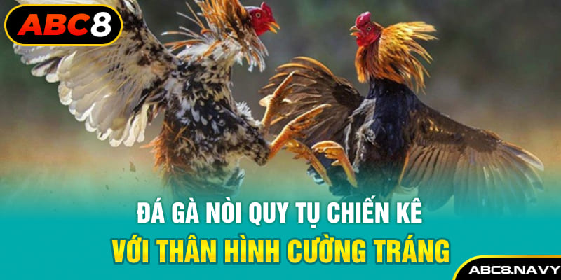 da-ga-noi-quy-tu-chien-ke-voi-than-hinh-cuong-trang