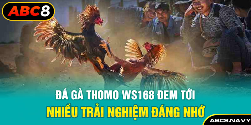 da-ga-thomo-ws168-dem-toi-nhieu-trai-nghiem-dang-nho-