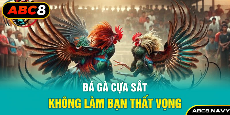 da-ga-cua-sat-khong-lam-ban-that-vong