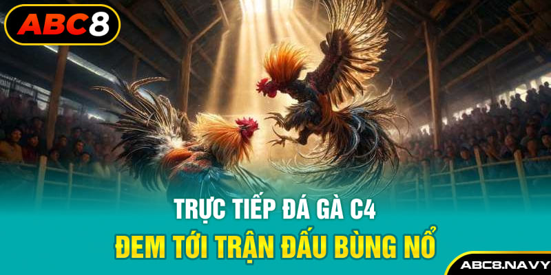 truc-tiep-da-ga-c4-dem-toi-tran-dau-bung-no-