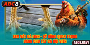 xem-vay-ga-linh-ky-nang-quan-trong-danh-cho-tat-ca-hoi-vien