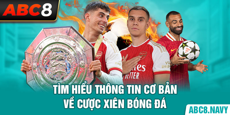 tim-hieu-thong-tin-co-ban-ve-cuoc-xien-bong-da