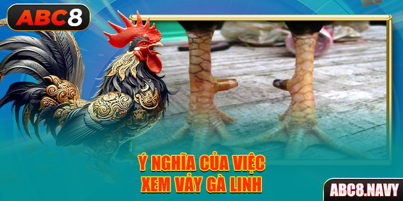 y-nghia-cua-viec-xem-vay-ga-linh