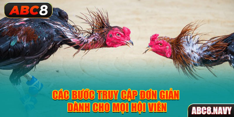 cac-buoc-truy-cap-don-gian-danh-cho-moi-hoi-vien